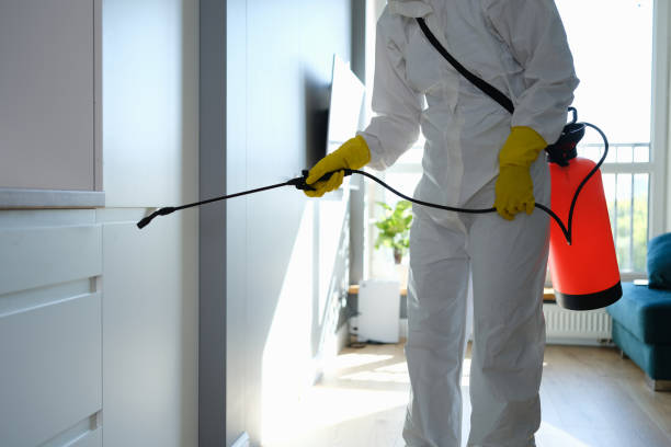 Best Commercial Mold Removal  in White Oak, MD