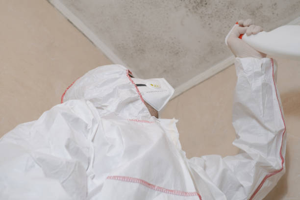 Home Mold Removal in White Oak, MD